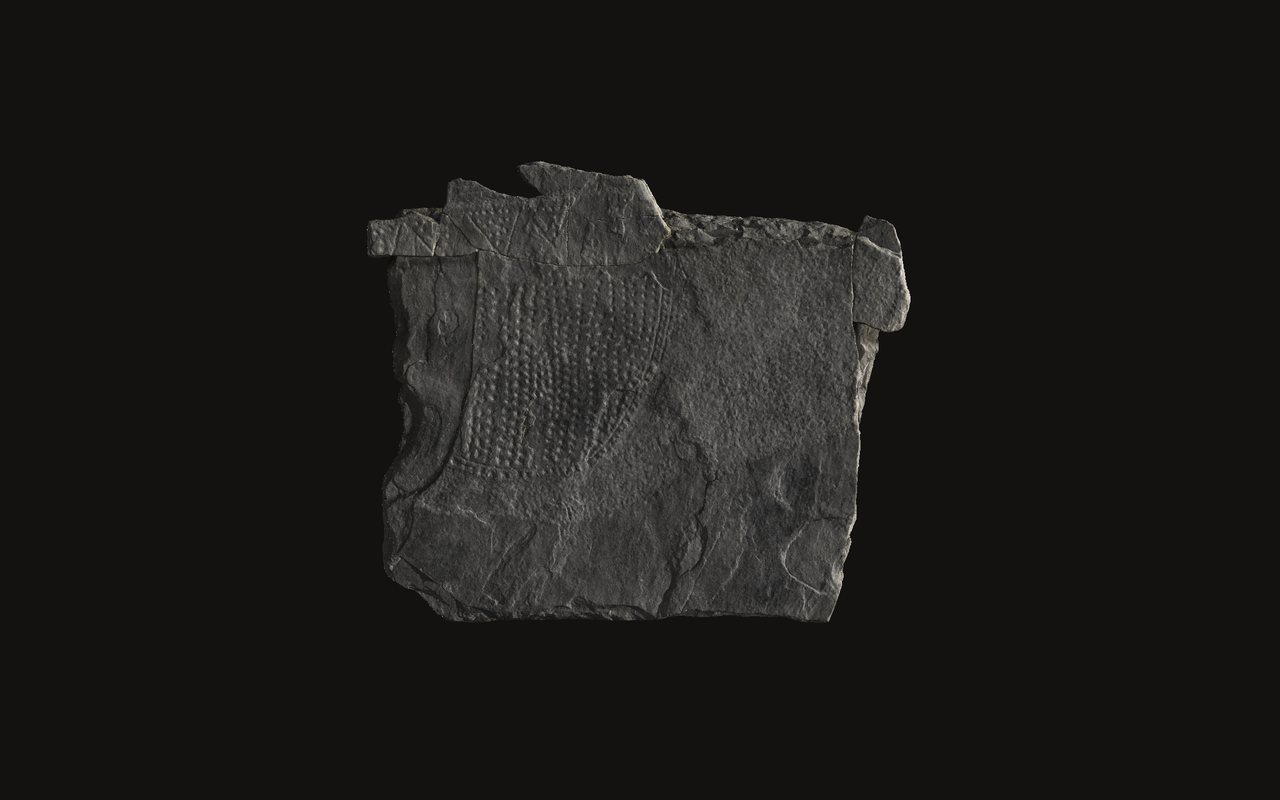 Stele 19