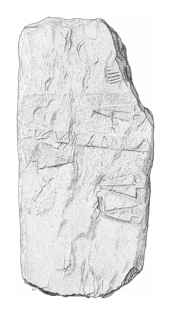 Archäologische Zeichnung — Stele 24