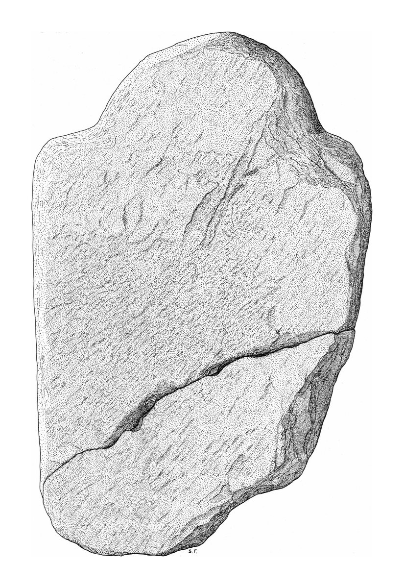 Archäologische Zeichnung — Stele 26